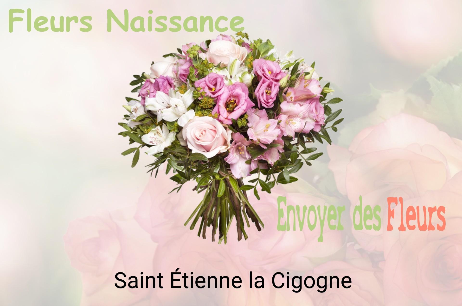 Bouquet de fleurs de naissance livré à Saint-Étienne-la-Cigogne